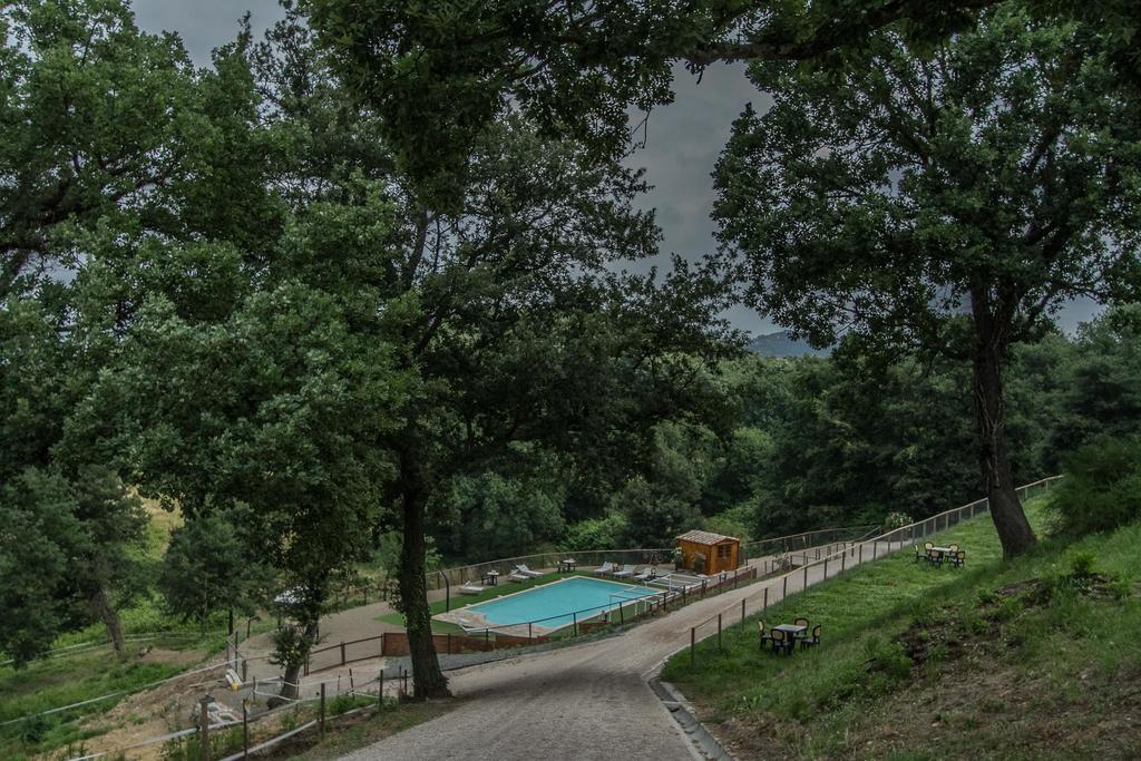 Agriturismo Specchio Del Lago Casa de hóspedes Montefiascone Exterior foto