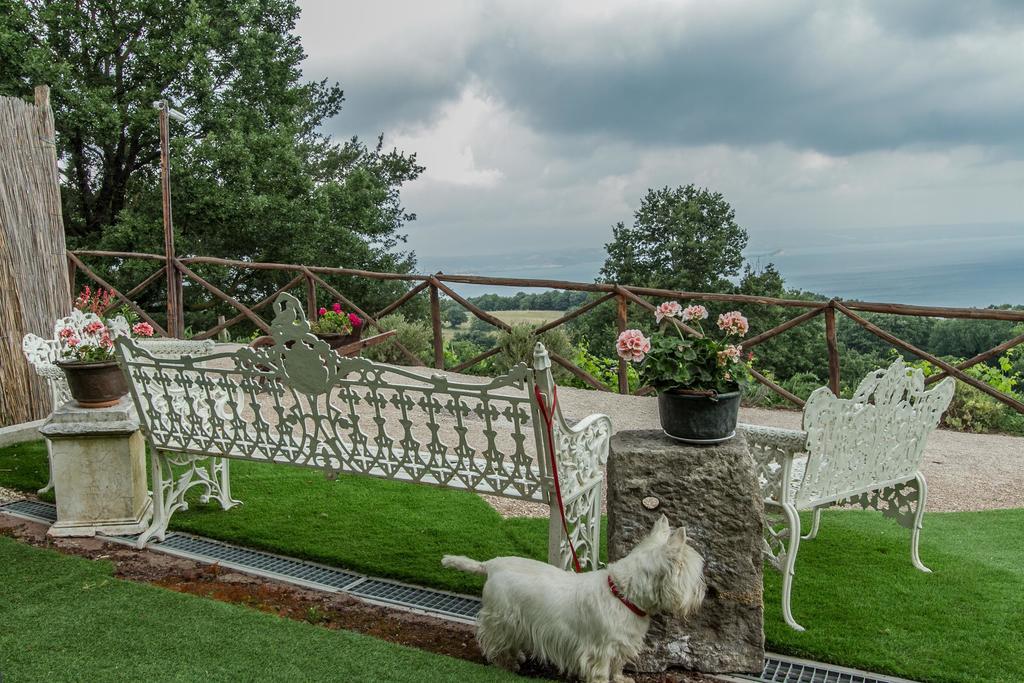 Agriturismo Specchio Del Lago Casa de hóspedes Montefiascone Exterior foto