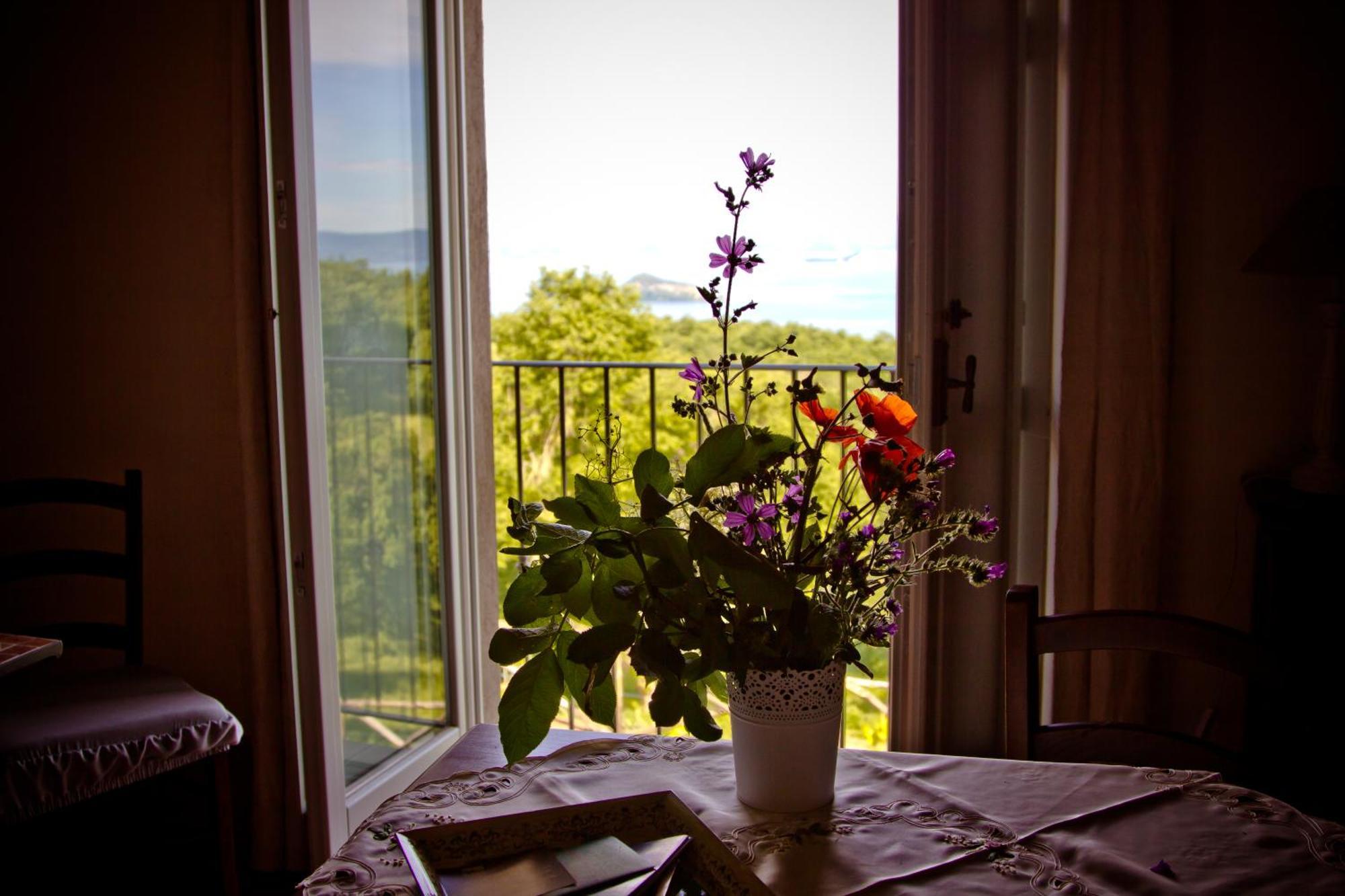 Agriturismo Specchio Del Lago Montefiascone Quarto foto