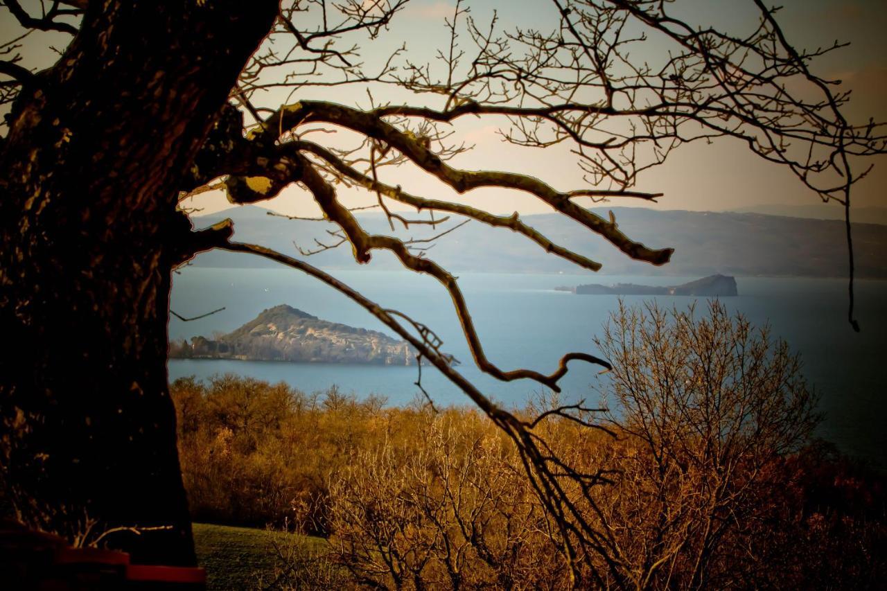 Agriturismo Specchio Del Lago Casa de hóspedes Montefiascone Quarto foto